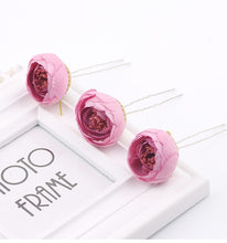 Load image into Gallery viewer, Fair Hair Pins