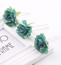Load image into Gallery viewer, Fair Hair Pins
